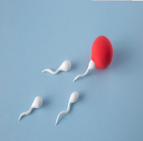 Erectile Dysfunction treatment in Mumbai 